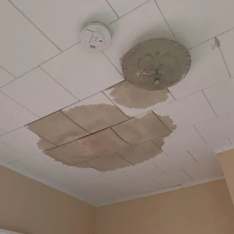 Ceiling Water Damage Repair in North Rock Springs, WY