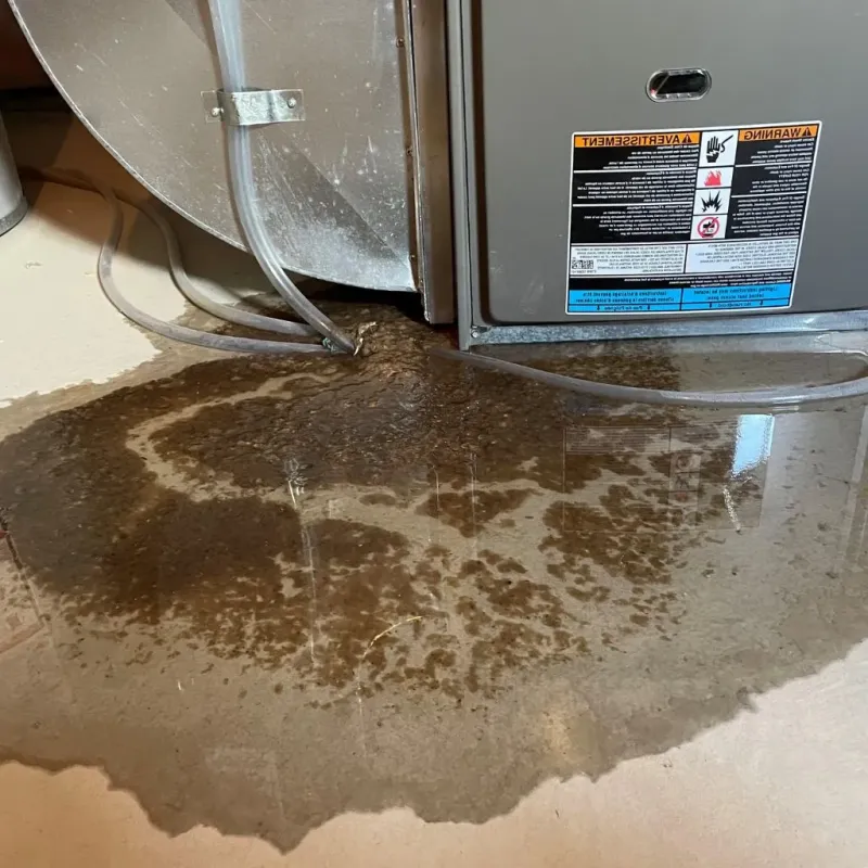 Pipe Burst and Leak Restoration in North Rock Springs, WY